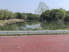 -艾溪湖湿地公园