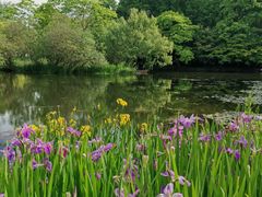 -上海共青森林公园