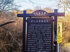 -阳台山自然风景区