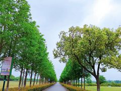 -嘉北郊野公园
