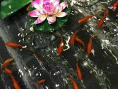 -蓝港海鲜厨房(金水路店)