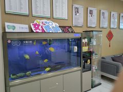 -艾维口腔(春江花月门诊部)