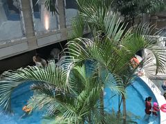 -大东方海鲜酒楼(小武基桥店)