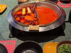 -牛New寿喜烧(金鹰世界店)