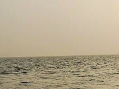 -深圳湾公园(南山区)
