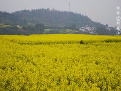 -新安江山水画廊风景区