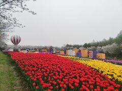 -金卉庄园