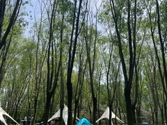-草根堂农场