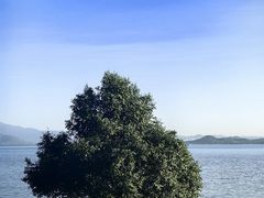 -深圳湾公园(南山区)