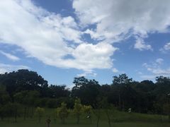 -福建鲤鱼洲酒店