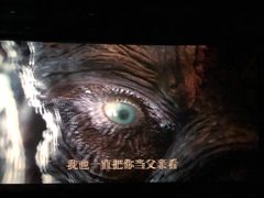 -飞扬影城(正佳IMAX店)