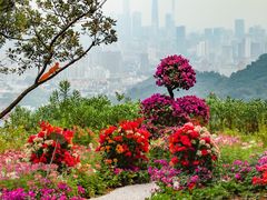 -广州市白云山风景名胜区