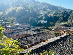 -杨家堂村