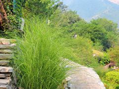 -幽岚山·童话森林