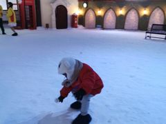 -世界之窗阿尔卑斯冰雪世界