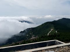 -白草畔自然风景区