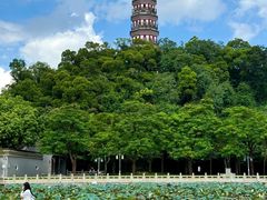 -顺峰山公园