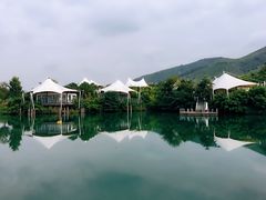 -帐篷客·溪龙茶谷度假酒店