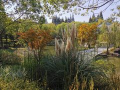 -瑞慈体检南通滨江机构