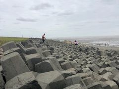 -芦潮港集贸市场