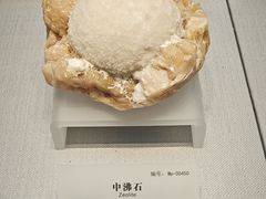 -湖南省地质博物馆