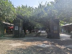 -海口火山口国家地质公园