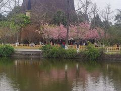 -成都南湖公园