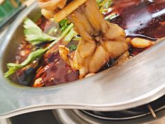 -蛙蛙鸡冷锅鱼(温江店)