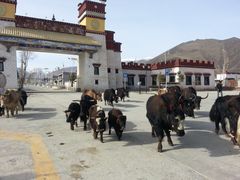 门面-松赞干布出生地