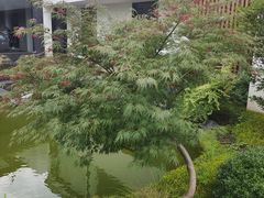 -雅苑中餐厅