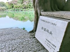 -小洲村