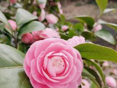 -昆山城市生态森林公园