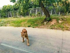 -西安秦岭野生动物园