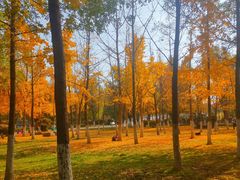 -大明宫国家遗址公园·御道广场