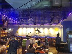 大堂-千岛蚝高压锅生蚝·人参火锅(白云万达店)