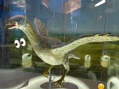 -辽宁古生物博物馆