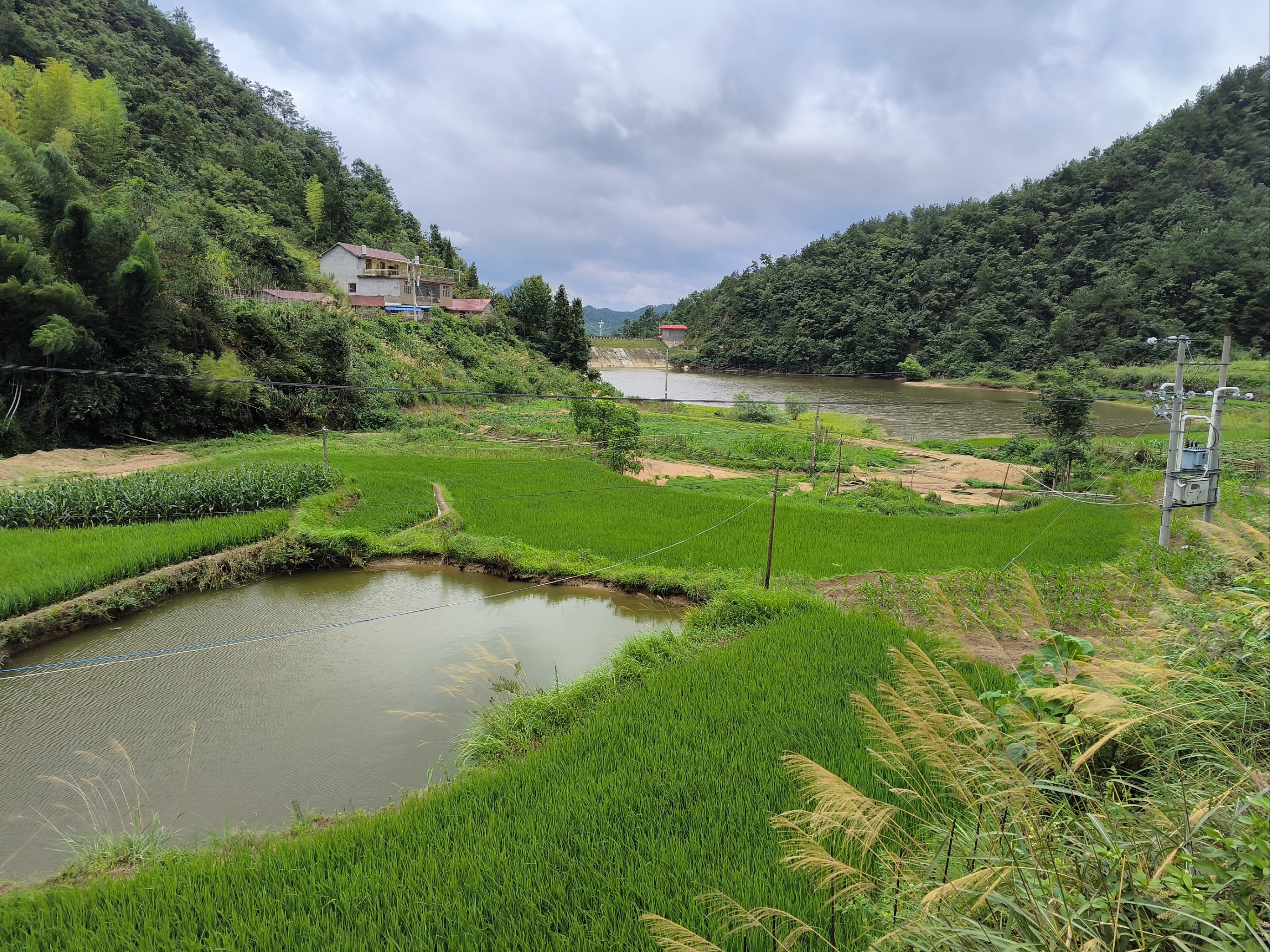 乡下风景农村图片