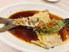 清蒸武昌鱼-九头鸟酒家(四道口店)