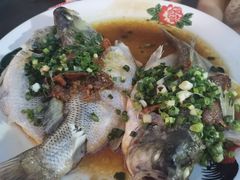 三椒蒸鲈鱼-荆九爷爆炒桥头三嫩(夫子庙店)