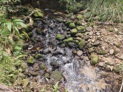 -海南热带雨林国家公园吊罗山景区