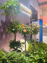 点击看大图 -花隐·美芙炫海菲秀皮肤管理中心