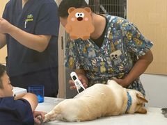 -康成宠物医院24H·CT·核磁共振