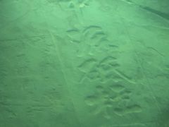-白鹤梁水下博物馆