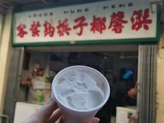 -洪馨椰子