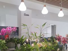 -上海永达嘉沃沃尔沃4S店(嘉定镇店)