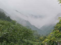 -武汉姚家山旅游景区