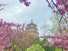 -大慈恩寺(大雁塔)