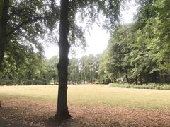 景点-维格兰雕塑公园