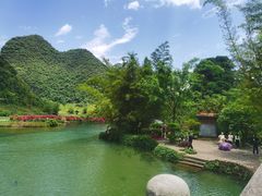 -靖西鹅泉风景区