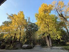 -成都武侯祠博物馆